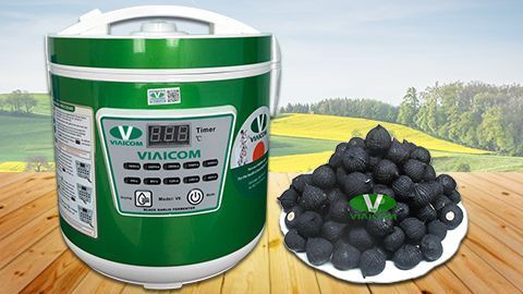 Máy làm tỏi đen VIAICOM V6 - 6 lít - Công Nghệ Nhật Bản Mới Nhất
